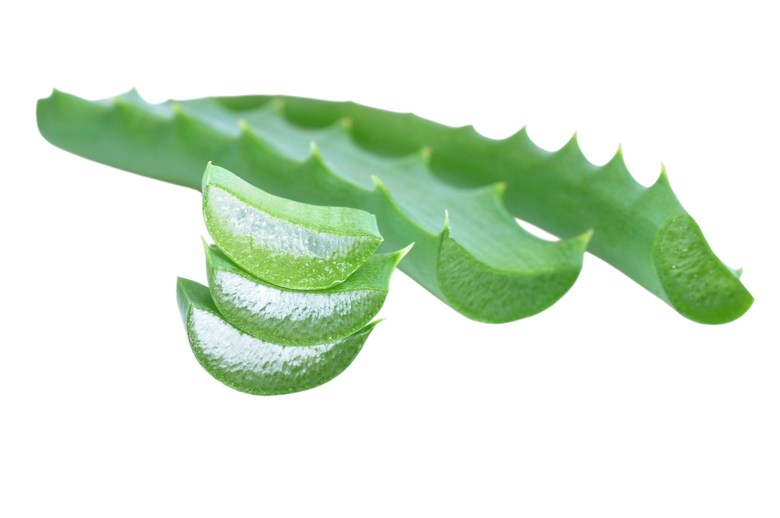 アロエ原料イメージ