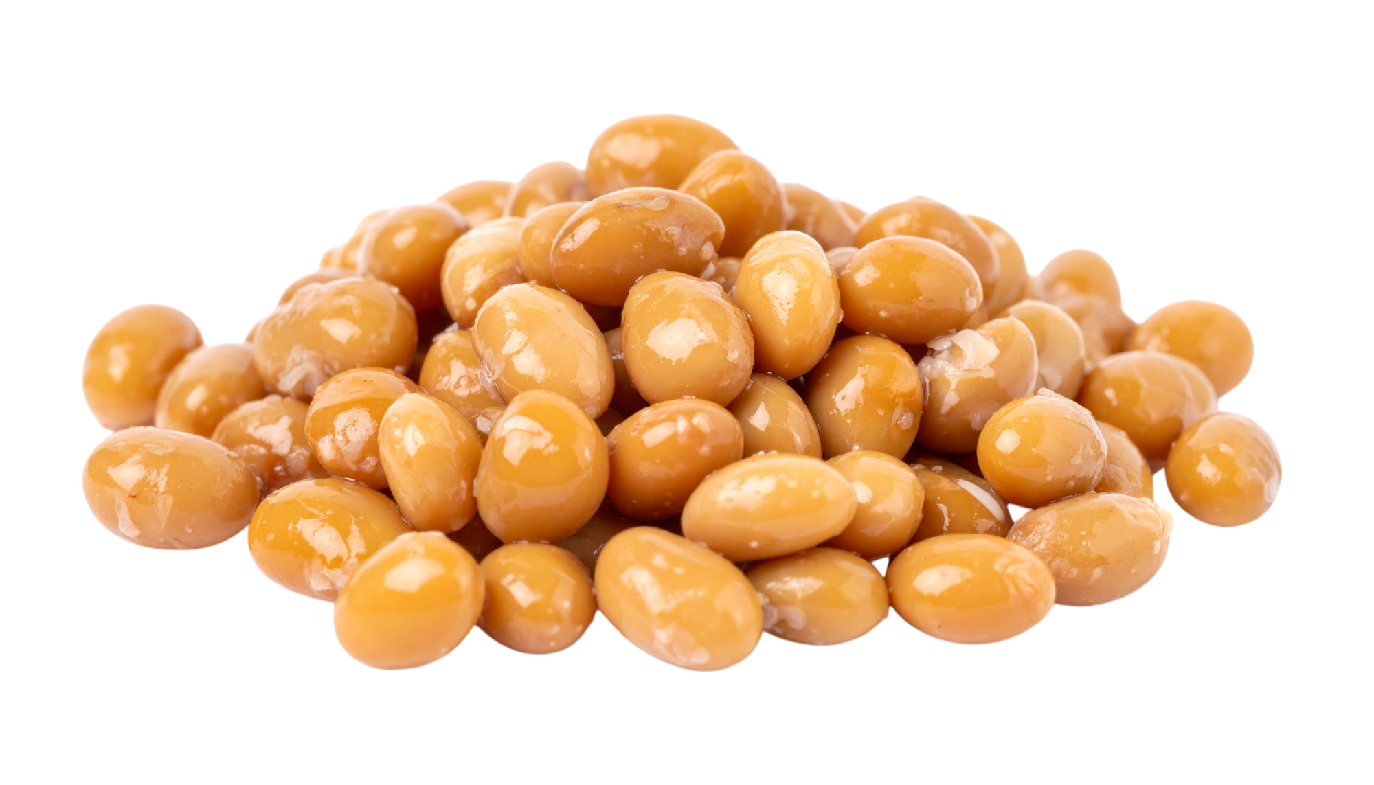 納豆原料イメージ