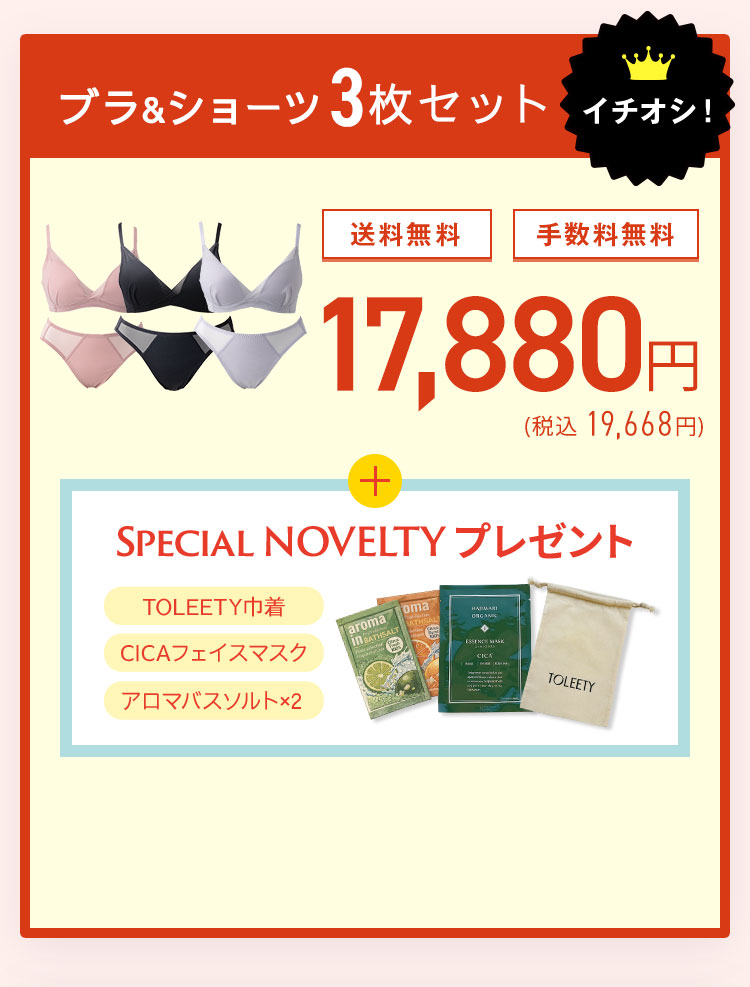 TOLEETY トゥリーティ 軽やかストレスフリーブラ&ショーツセット