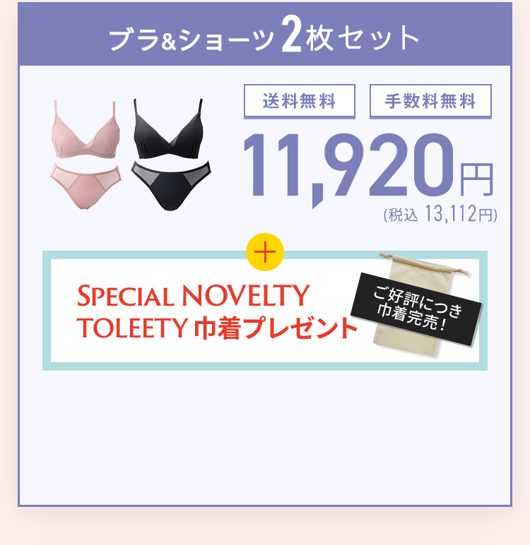 TOLEETY トゥリーティ 軽やかストレスフリーブラ&ショーツセット