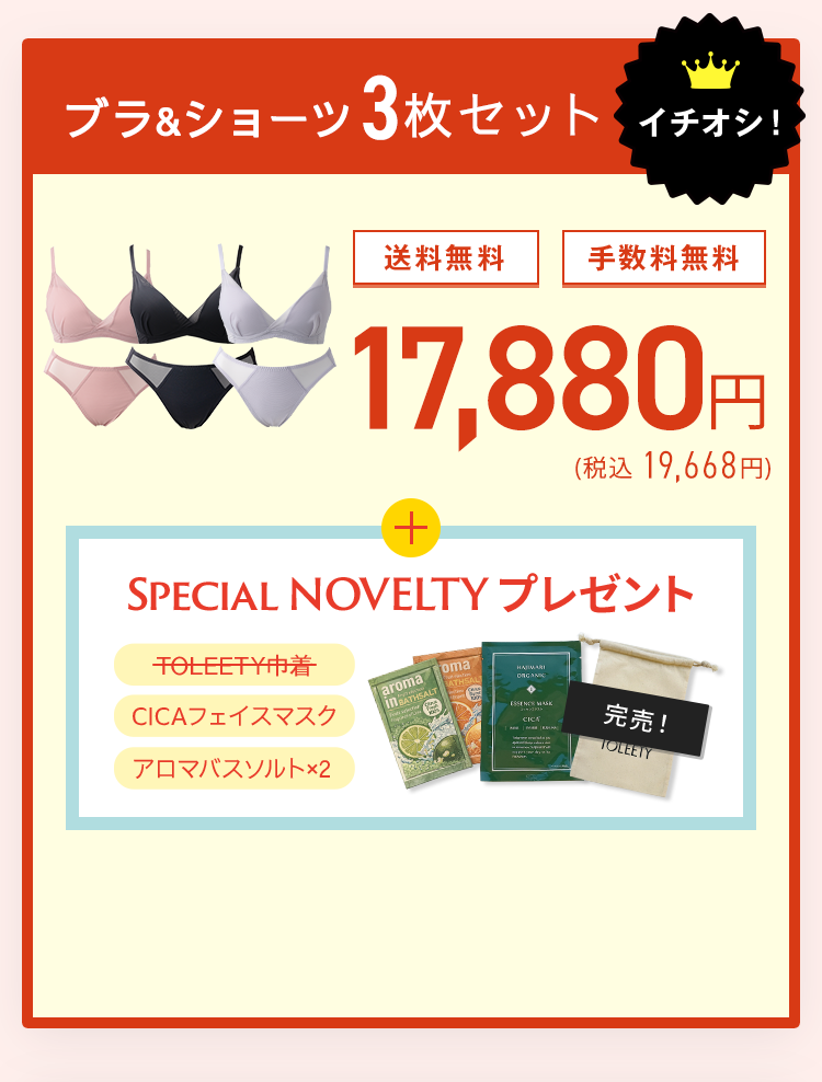 TOLEETY トゥリーティ 軽やかストレスフリーブラ&ショーツセット