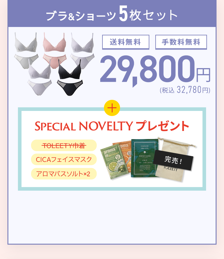 TOLEETY トゥリーティ 軽やかストレスフリーブラ&ショーツセット