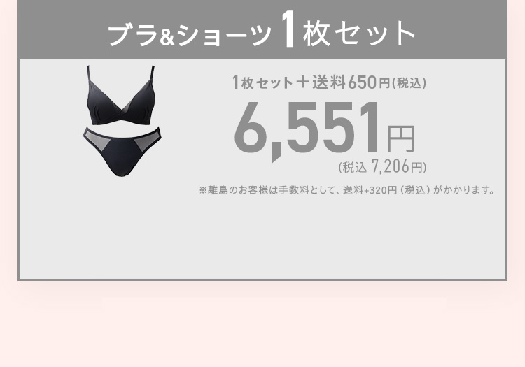 TOLEETY トゥリーティ 軽やかストレスフリーブラ&ショーツセット