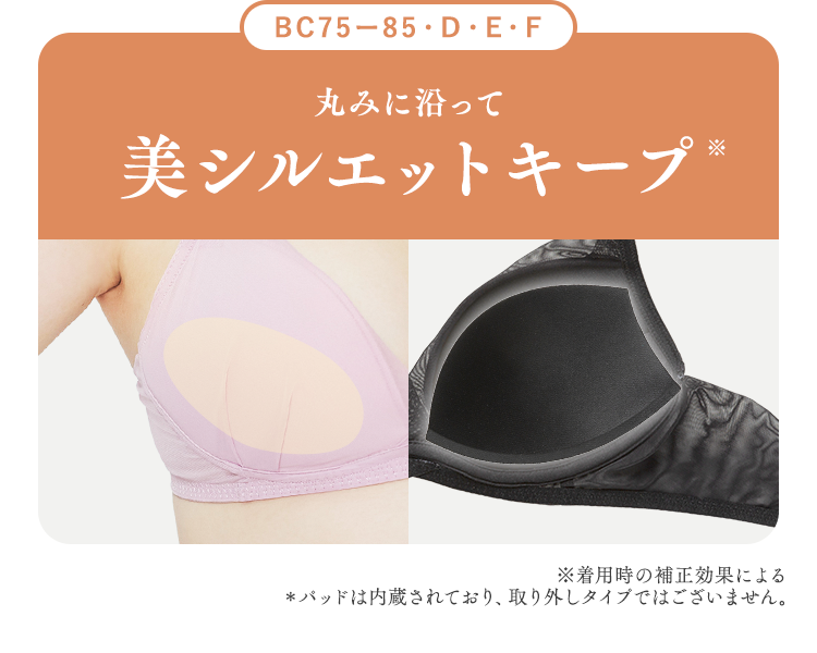 TOLEETY軽やかストレスフリーブラ【公式販売店】