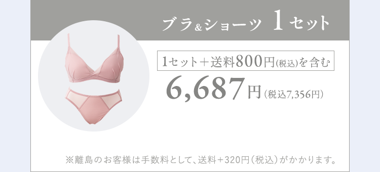 ブラ＆ショーツ 1枚セット