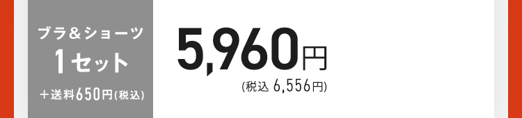 ブラ＆ショーツ1セット