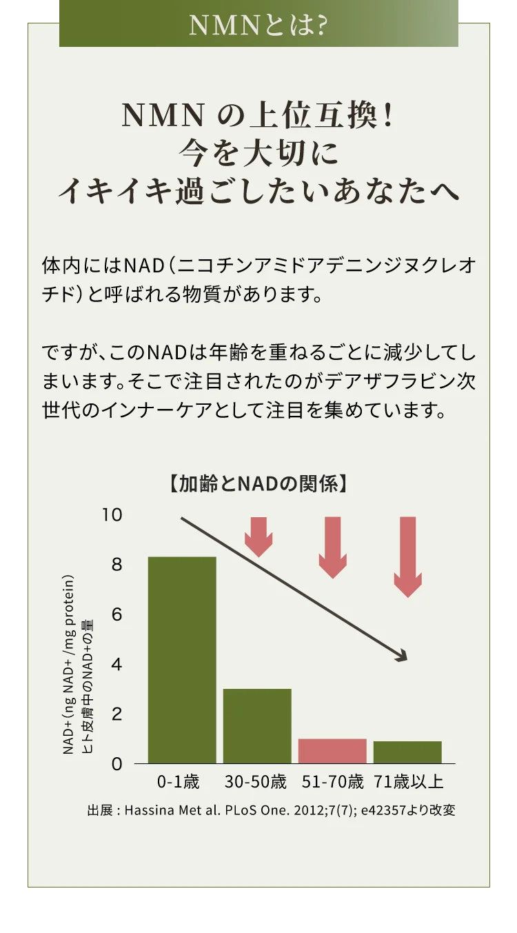 NMNとは