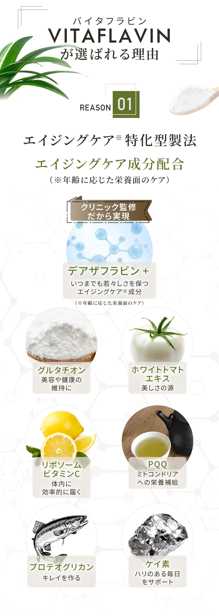 VITAFLAVINが選ばれる理由1