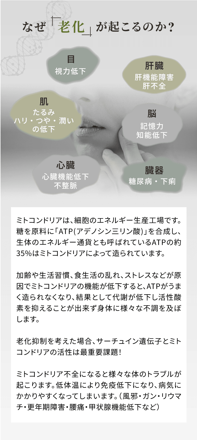 なぜ老化が起こるのか