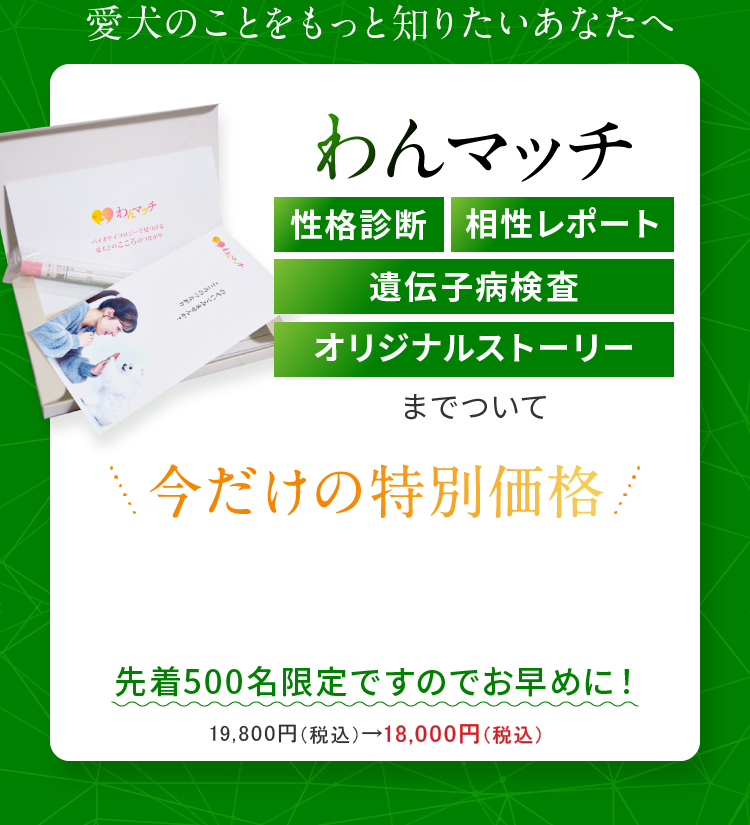 今だけの特別価格