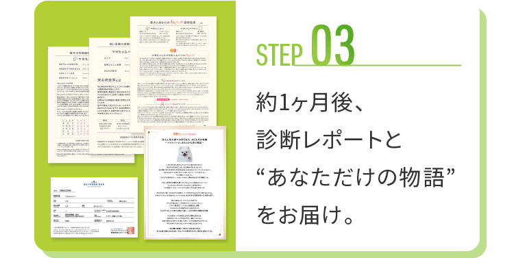 step 03 約1ヶ月後、診断レポートと“あなただけの物語”をお届け。