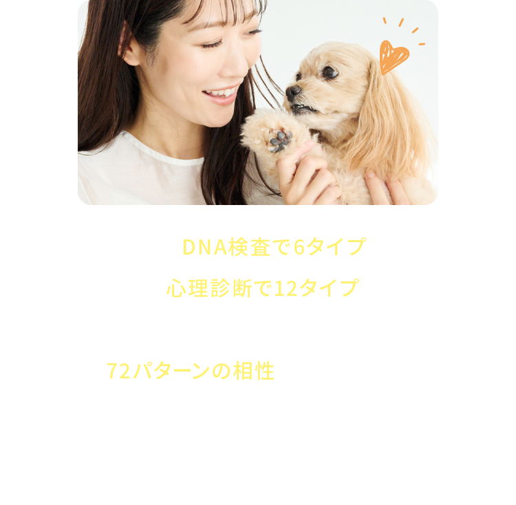 愛犬はDNA検査で6タイプに、飼い主は心理診断で12タイプに分類。それぞれの性格がクロスマッチし、72パターンの相性を分析します。