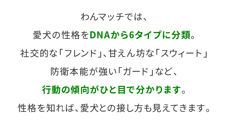 わんマッチでは、愛犬の性格をDNAから6タイプに分類。社交的な「フレンド」、甘えん坊な「スウィート」防衛本能が強い「ガード」など、行動の傾向がひと目で分かります。性格を知れば、愛犬との接し方も見えてきます。