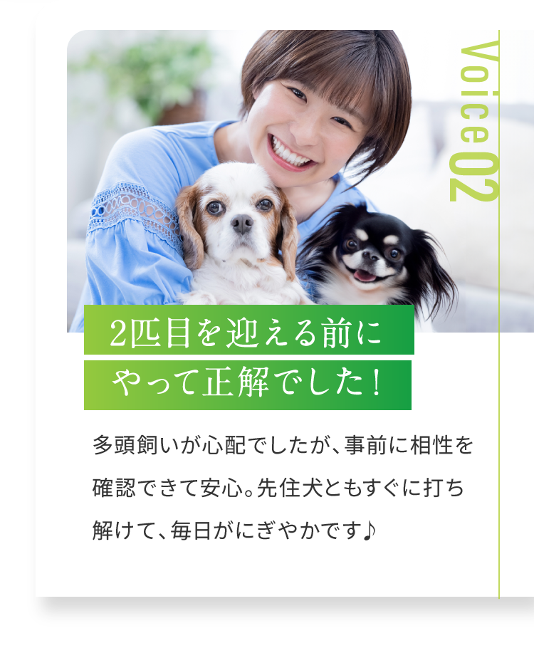 2匹目を迎える前にやって正解でした！