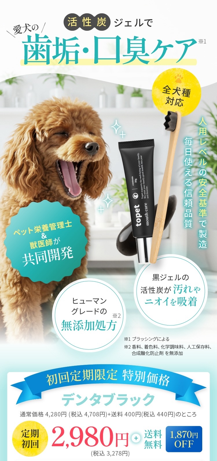 活性炭のジェルで歯垢・口臭を軽減1