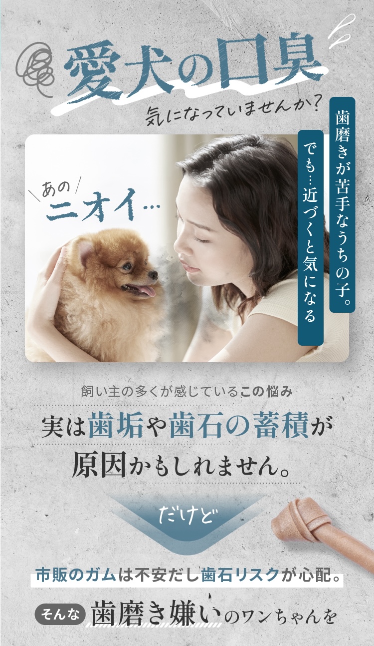 愛犬の口臭気になっていませんか？