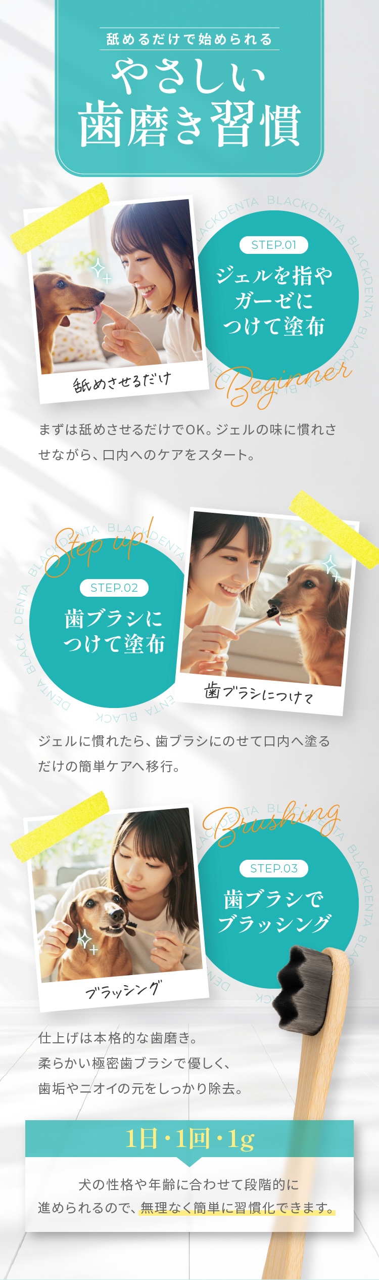 やさしい歯磨き習慣