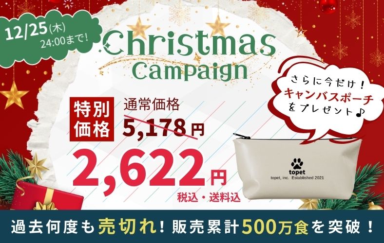 xmasキャンペーン