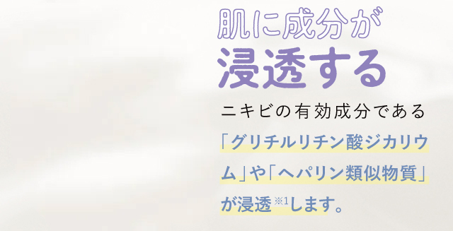 肌に成分が浸透する