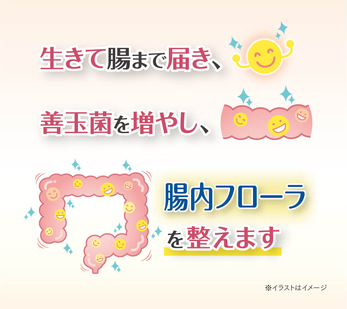 スマホ用画像1-1