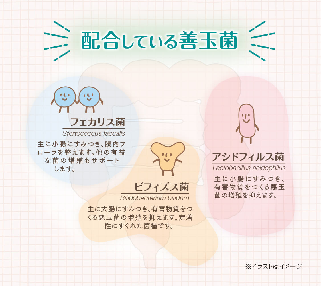 スマホ用画像2-1