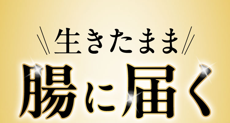 生きたまま腸に届く