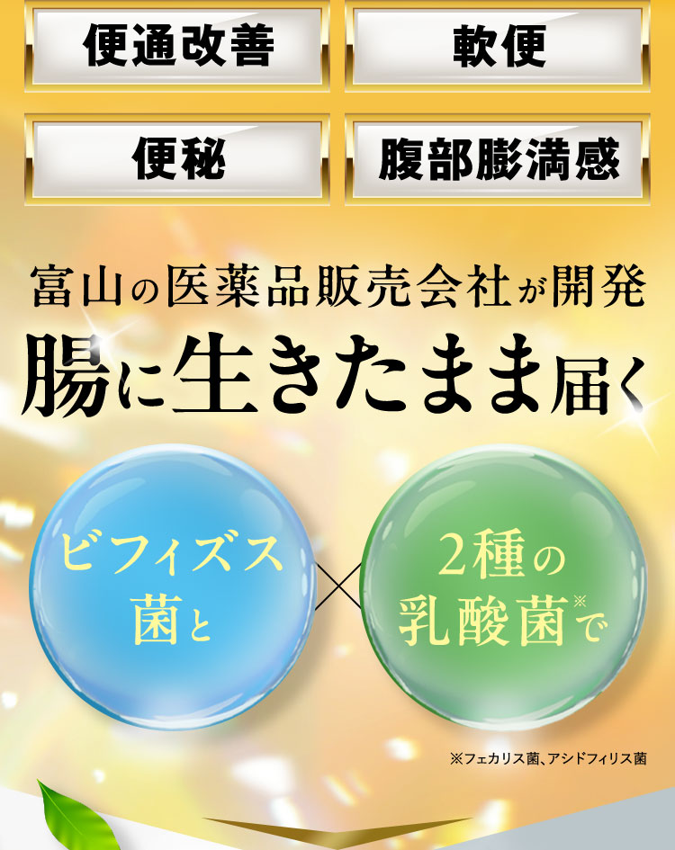 便通改善 軟便 便秘 腹部膨満感 富山の医薬品販売会社が開発 腸に生きたまま届くビフィズス菌と2種の乳酸菌※で ※フェカリス菌、アシドフィリス菌