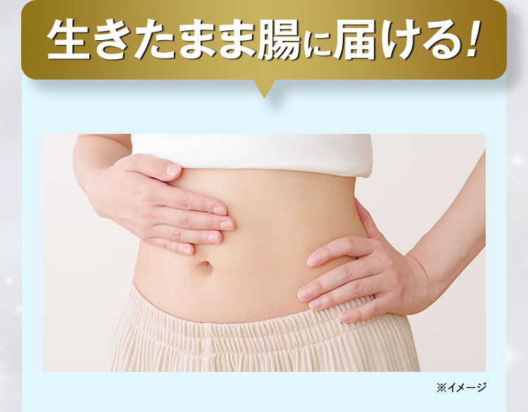 生きたまま腸に届ける！ ※イメージ