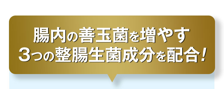 腸内の善玉菌を増やす3つの整腸生菌成分を配合！