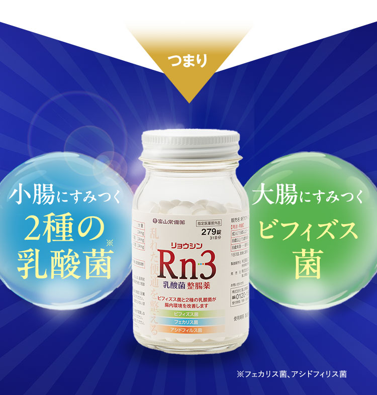 つまり 小腸にすみつく2種の乳酸菌※ 大腸にすみつくビフィズス菌 ※フェカリス菌とアシドフィリス菌