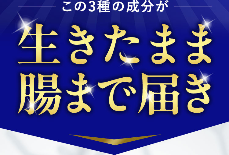 この3種の成分が生きたまま腸まで届き