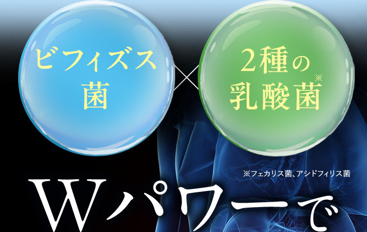 ビフィズス菌×2種の乳酸菌※ ※フェカリス菌、アシドフィリス菌 Wパワーで