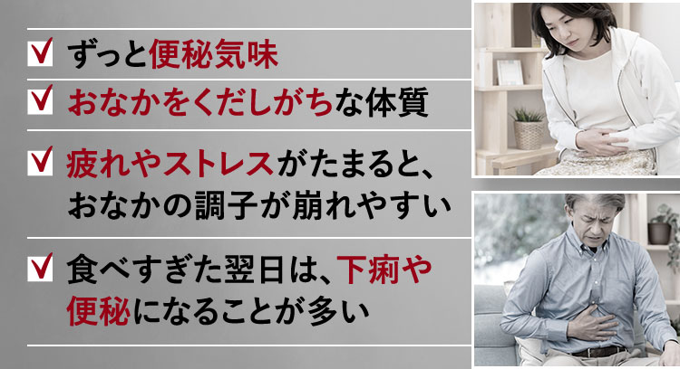 ずっと便秘気味 おなかをくだしがちな体質 疲れやストレスがたまると、おなかの調子が崩れやすい 食べすぎた翌日は、下痢や便秘になることが多い