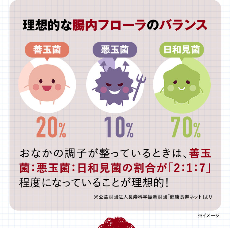 理想的な腸内フローラのバランス 善玉菌 20％ 悪玉菌 10％ 日和見菌 70％ おなかの調子が整っているときは、善玉菌：悪玉菌：日和見菌の割合が「2：1：7」程度になっていることが理想的！ ※公益財団法人長寿科学振興財団「健康長寿ネット」より ※イメージ