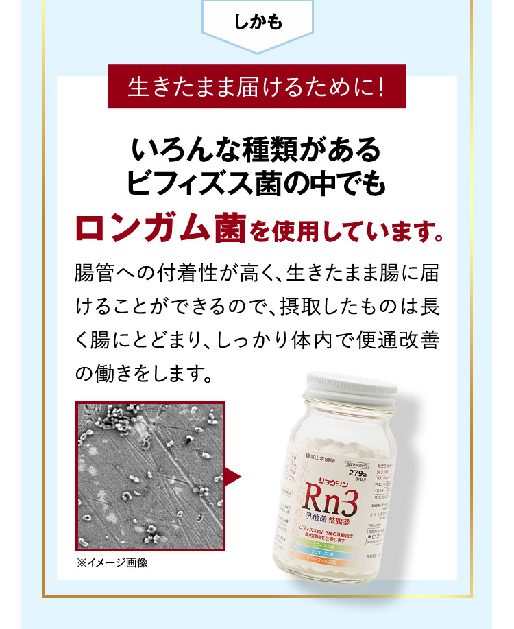 しかも 生きたまま届けるために！ いろんな種類があるビフィズス菌の中でもロンガム菌を使用しています。 腸管への付着性が高く、生きたまま腸に届けることができるので、摂取したものは長く腸にとどまり、しっかり体内で便通改善の働きをします。 ※イメージ画像