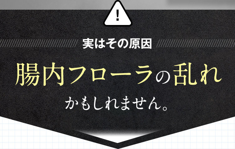 実はその原因 腸内フローラの乱れかもしれません。