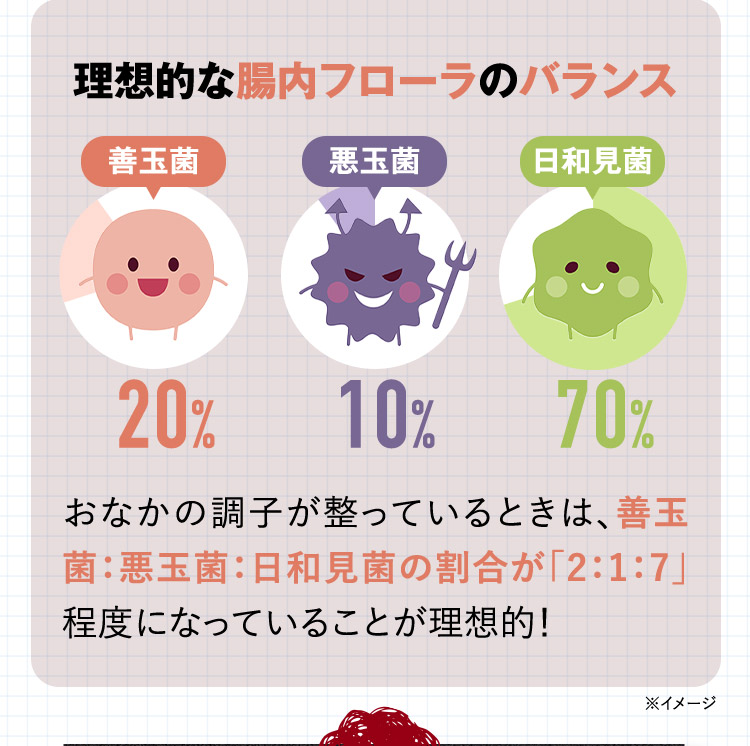 理想的な腸内フローラのバランス 善玉菌 20％ 悪玉菌 10％ 日和見菌 70％ おなかの調子が整っているときは、善玉菌：悪玉菌：日和見菌の割合が「2：1：7」程度になっていることが理想的！ ※イメージ