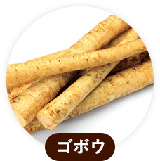 ゴボウ