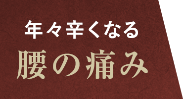 年々辛くなる腰の痛み