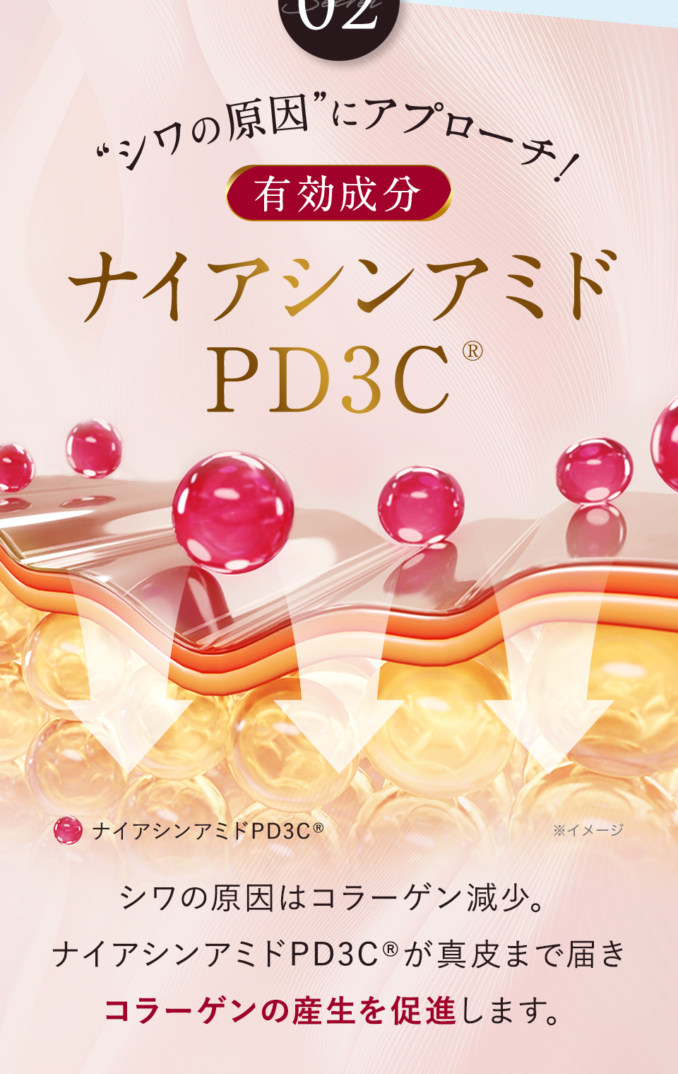 公式】 キミエリンクルホワイトプレミアム