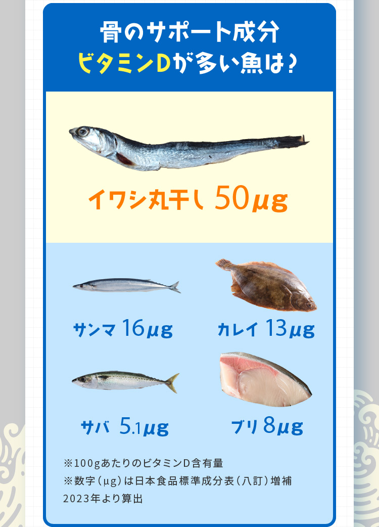 骨のサポート成分ビタミンDが多い魚は？ イワシ丸干し50μg サンマ16μg カレイ13μg サバ5.1μg ブリ8μg ※100gあたりのビタミンD含有量 ※数字（μg）は日本食品標準成分表（八訂）増補2023年より算出