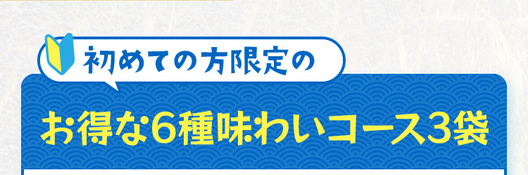 初めての方限定のお得な6種味わいコース3袋 