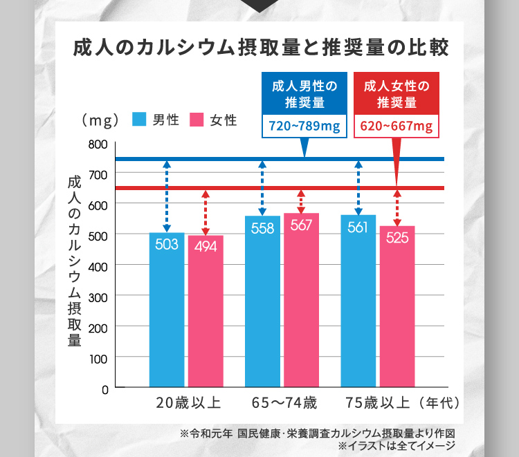 国民健康・栄養調査カルシウム摂取量より作図 ※イラストは全てイメージ 