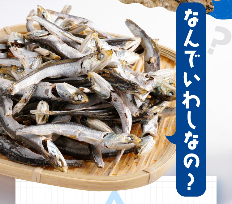 なんでいわしなの？