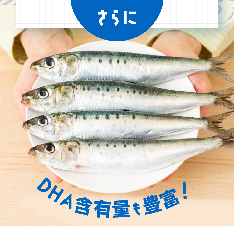 さらに DHA含有量も豊富！