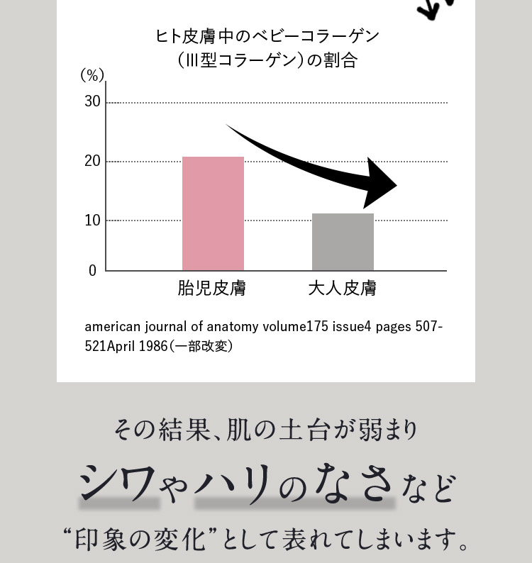 ヒト皮膚中のベビーコラーゲン(3型コラーゲン)の割合の図 その結果、肌の土台が弱まりシワやハリのなさなど印象の変化として表れてしまいます。