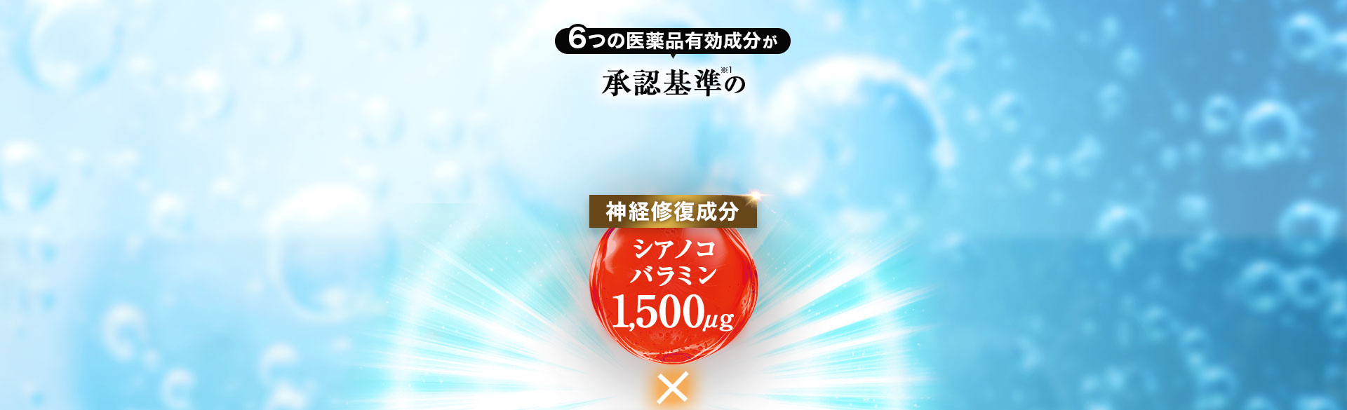 6つの医薬品有効成分が承認基準の最大量配合