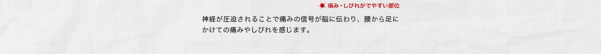 神経が圧迫されることで痛みの信号が脳に伝わり、腰から足にかけての痛みやしびれを感じます。