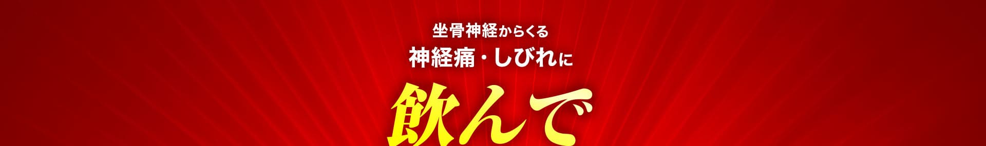 坐骨神経からくる神経痛・しびれに