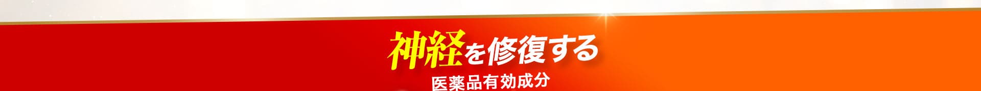 神経を修復する